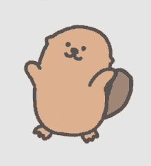 Gif de castor